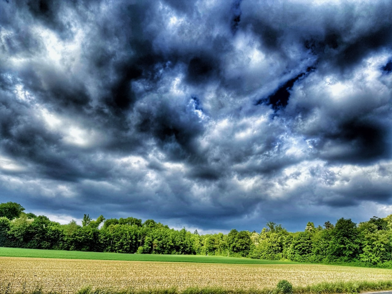 Northeast North Carolina farmland