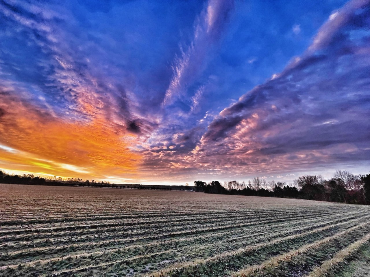 Northeast North Carolina farmland