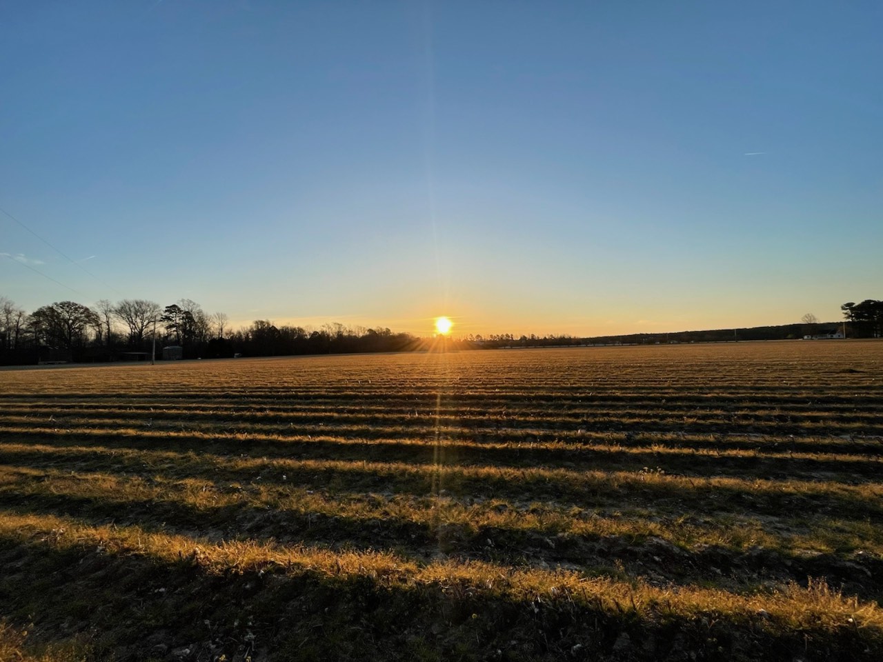 Northeast North Carolina farmland