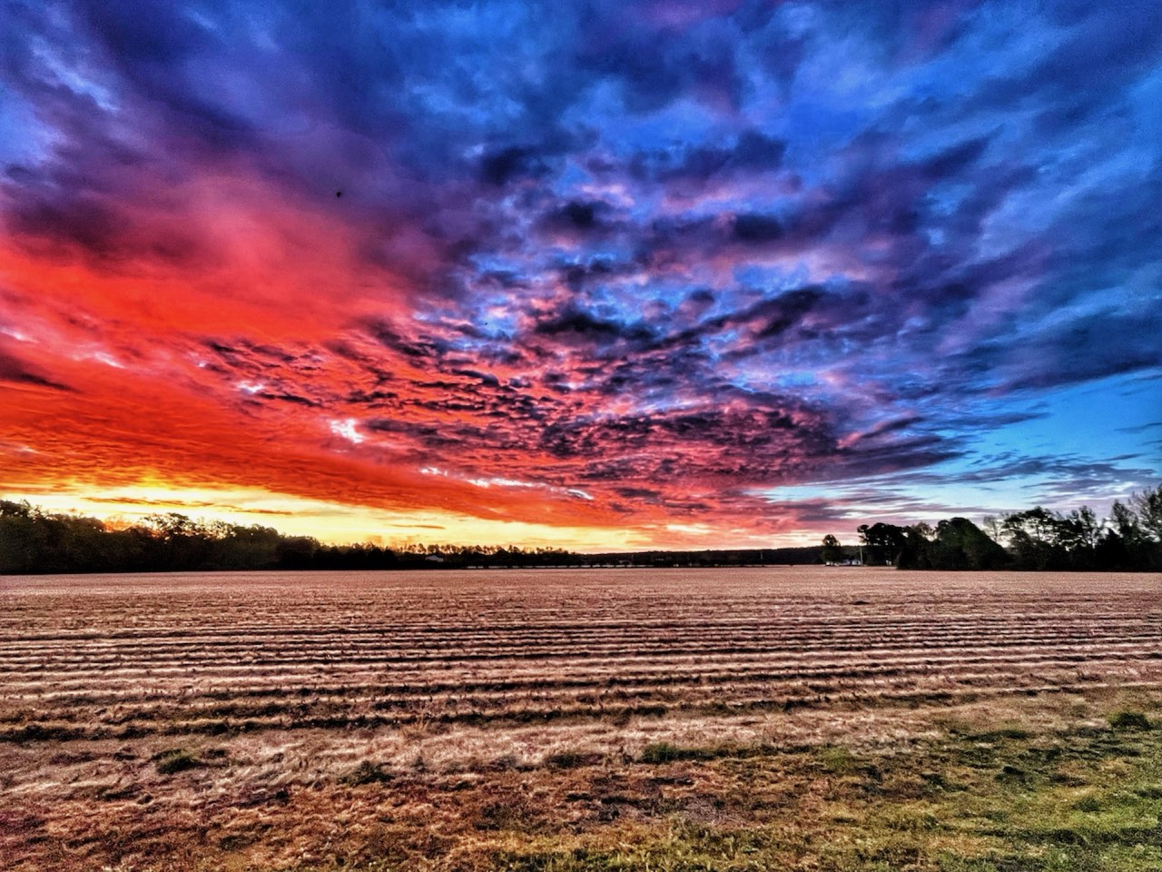 Northeast North Carolina farmland