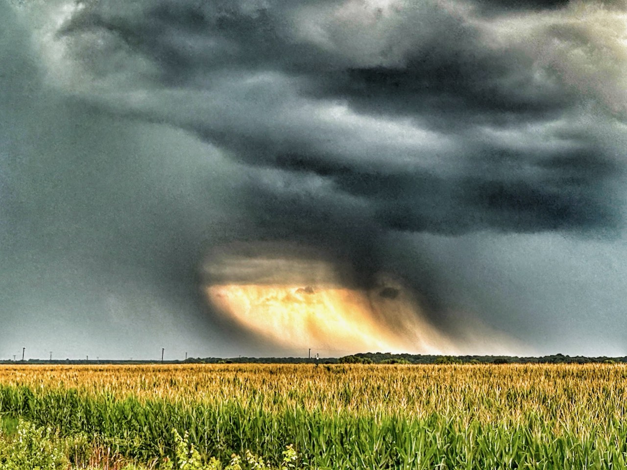 Northeast North Carolina farmland