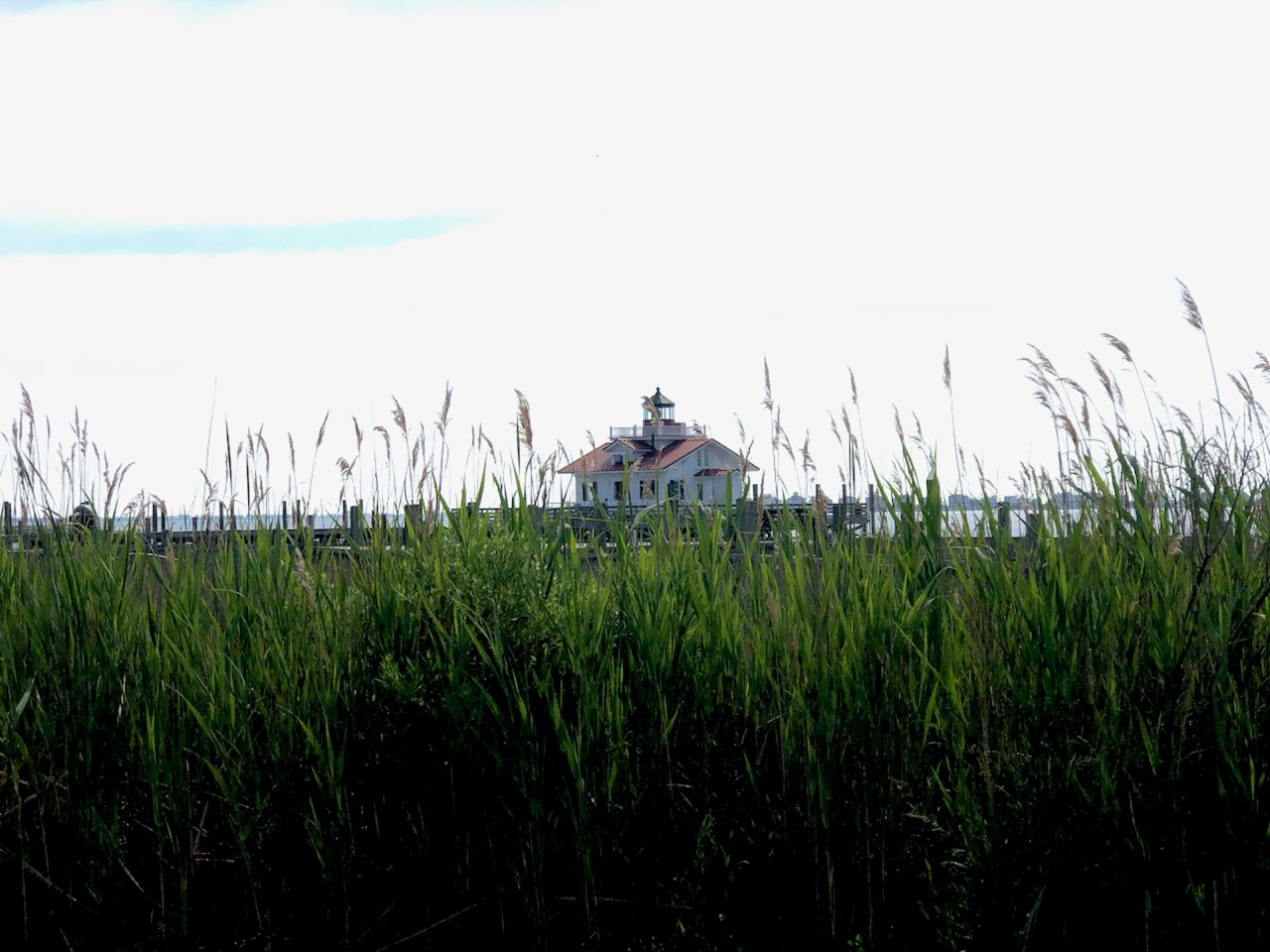 Northeast North Carolina farmland