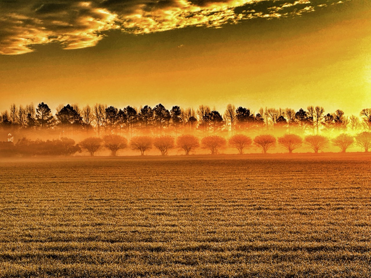 Northeast North Carolina farmland