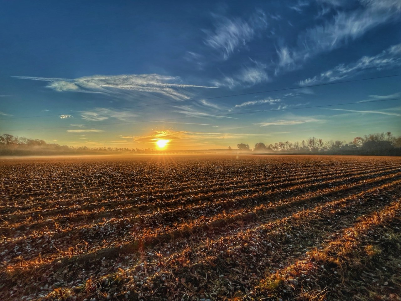 Northeast North Carolina farmland