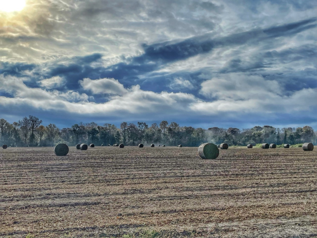 Northeast North Carolina farmland